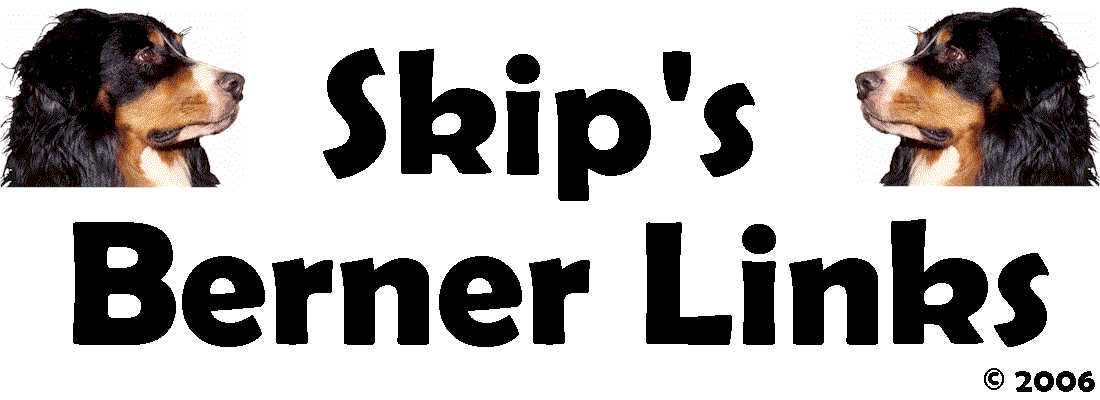 SKIP'S BERNER LINKS